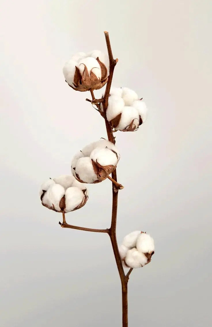 Quelles matières choisir pour vos protections menstruelles ? Coton, Tencel, Lyocell, etc.