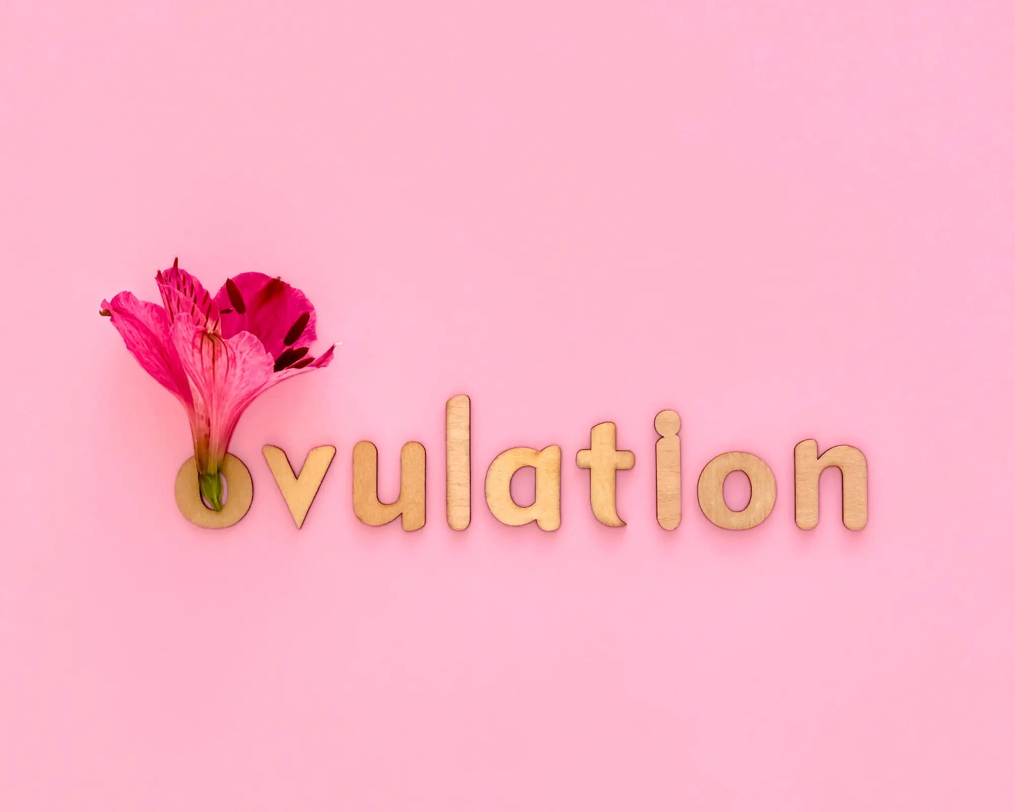 culotte menstruelle flux abondant, flux hémorragique